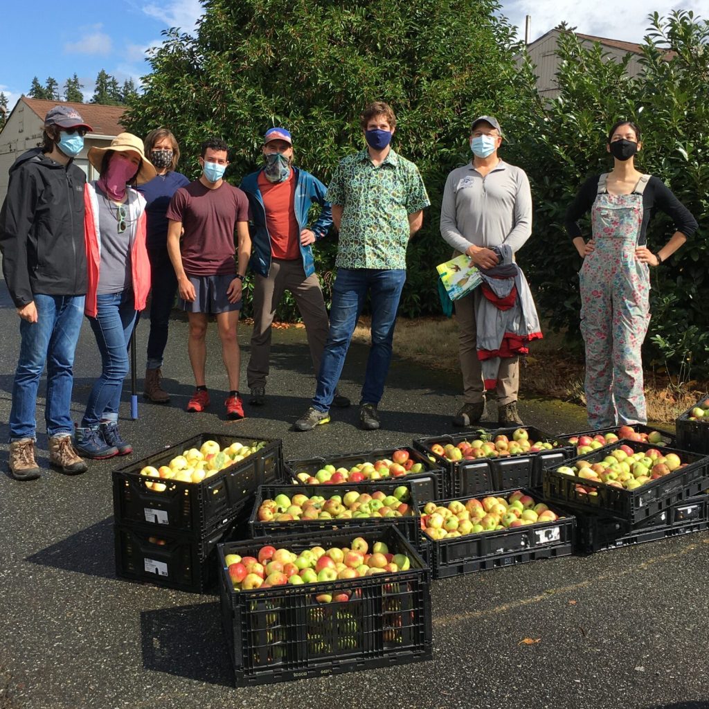 A group of 9 volunteers posing with a few black crates of harvested apples.