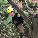 The image depicts Fruit Tree Specialist, Emma. She is roped into a tree and hanging off a branch. She is wearing a black shirt, glasses, and a yellow hard hat.